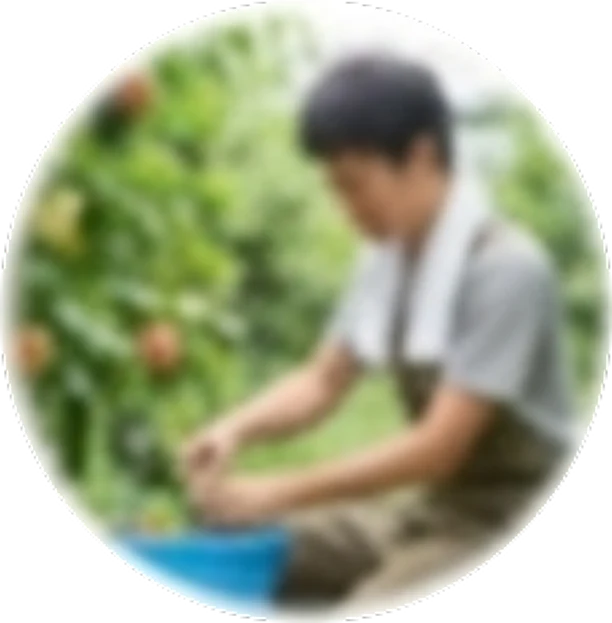 庭で果樹を育てるブログ主
